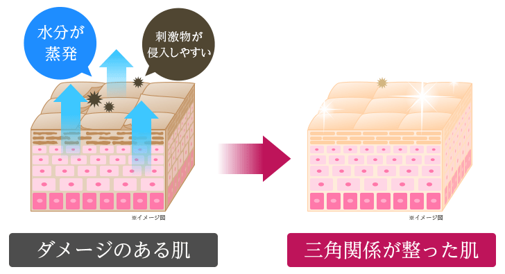 ダメージのある肌 三角関係が整った肌