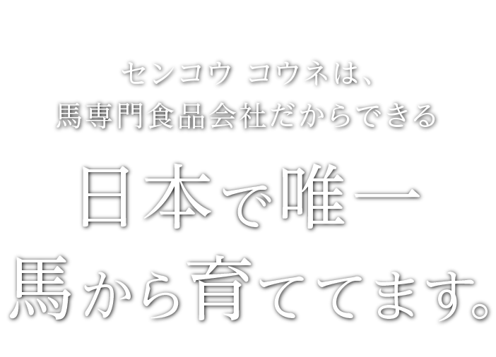 日本で唯一馬から育ててます。