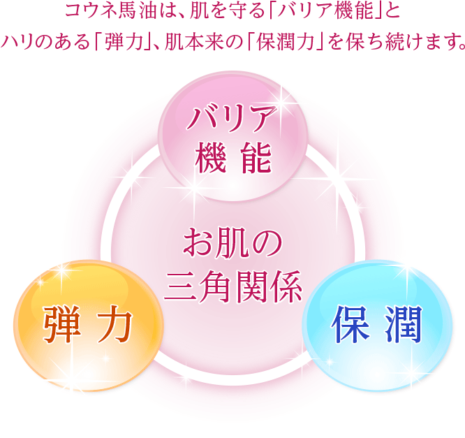 エキストラリッチ｜SENKO KOHNE 千興ファームがお届けするコウネ馬油化粧品