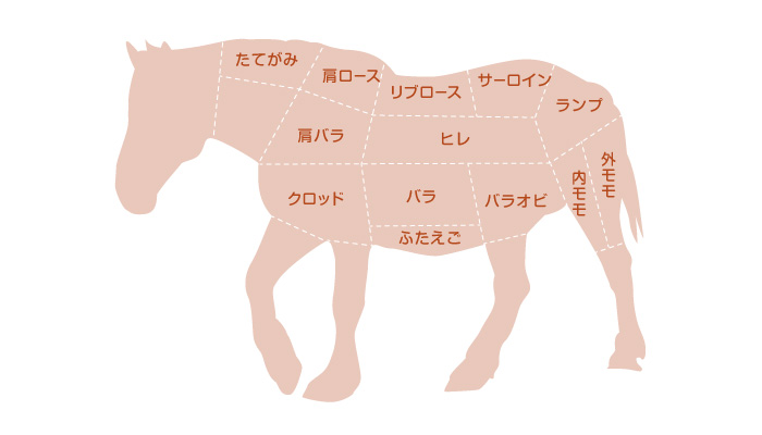 馬刺しの部位