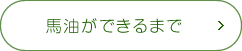 馬油ができるまで