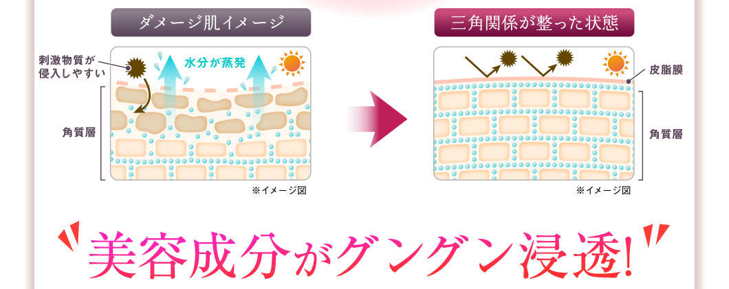 お試しスキニーローション