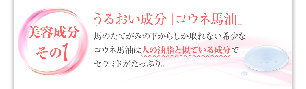 お試しスキニーローション